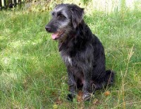 /album/nase-holky/b1-jpg/