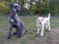 /album/nase-holky/bz4a-jpg/