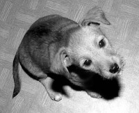 /album/betka/kam94b7kv-jpg/