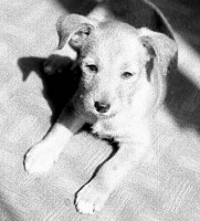 /album/betka/kam94b21kv-jpg/