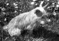 /album/betka/kambep-jpg/