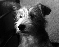 /album/betka/kambk3-jpg/