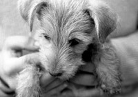 /album/betka/zahbetka2-jpg/