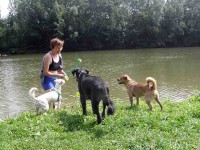 /album/svojanov-2012/sv05-jpg/